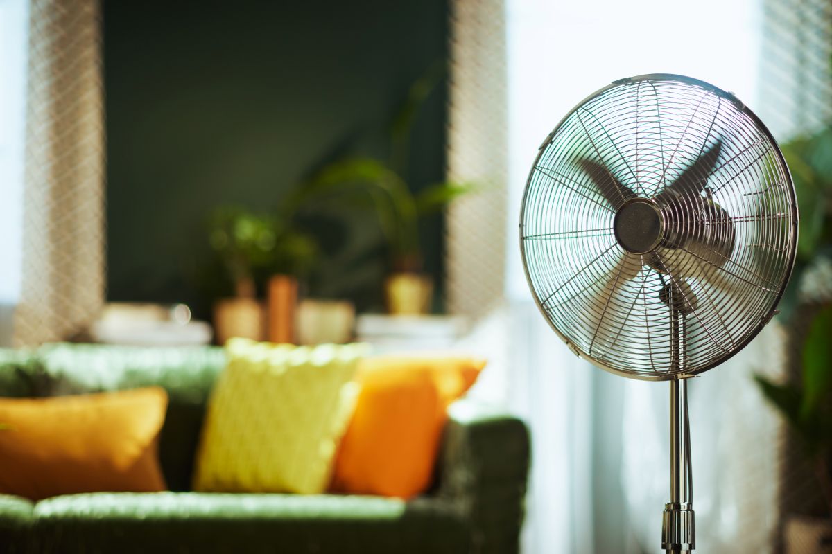A modern stand fan with spinning blades is prominently featured